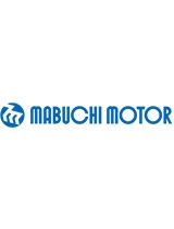 MABUCHI MOTOR POLAND