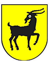 Urząd Miejski Kałuszyn